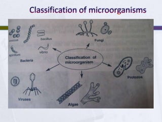 Classification of microorganisms