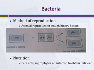 BacteriaMethod of reproductionAsexual reproduction trough binary fissionNutritionParasites, saprophytes or autotrop to obtain nutrient