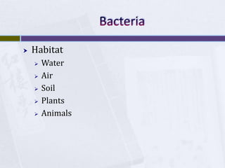 BacteriaHabitatWaterAirSoilPlantsAnimals 