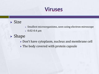 VirusesSizeSmallest microorganisms, seen using electron miroscope0.02-0.4 μmShapeDon’t have cytoplasm, nucleus and membrane cellThe body covered with protein capsule