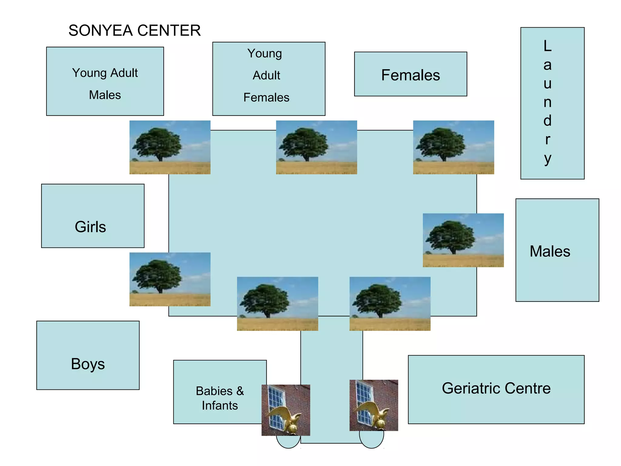 Babies &
Infants
Boys
Girls
Young Adult
Males
Young
Adult
Females
Females
L
a
u
n
d
r
y
Males
Geriatric Centre
SONYEA CENTER
 