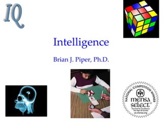 Intelligence
Brian J. Piper, Ph.D.
 