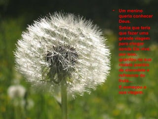 Um menino queria conhecer Deus.  Sabia que teria que fazer uma grande viagem para chegar aonde Ele vive; por isso, guardou na sua maleta pastéis de chocolate e refrescos de fruta… E começou a sua viagem.   