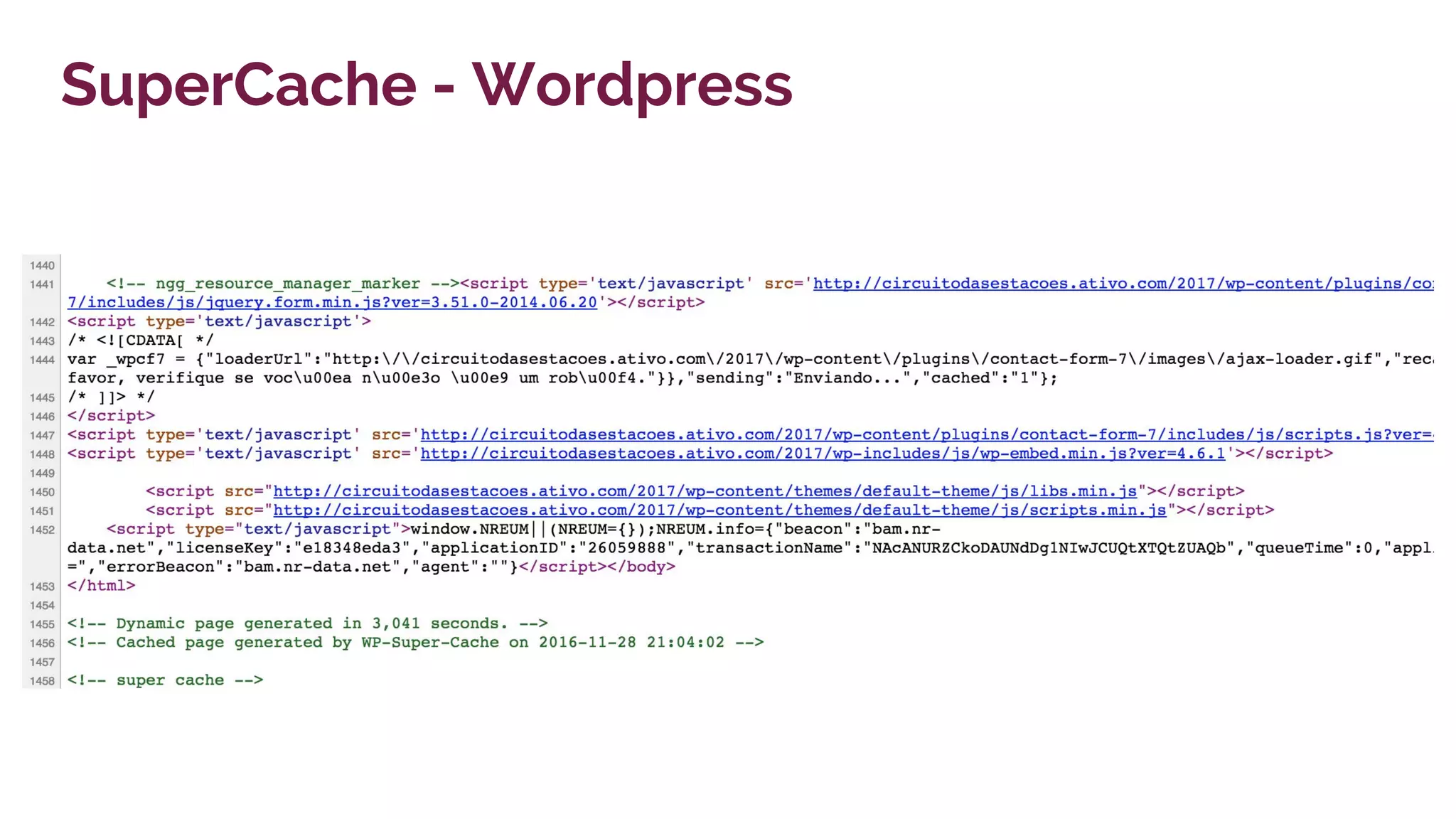 SuperCache - Wordpress
 