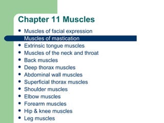 Chapter 11 Muscles
   Muscles of facial expression
   Muscles of mastication
   Extrinsic tongue muscles
   Muscles of the neck and throat
   Back muscles
   Deep thorax muscles
   Abdominal wall muscles
   Superficial thorax muscles
   Shoulder muscles
   Elbow muscles
   Forearm muscles
   Hip & knee muscles
   Leg muscles
 