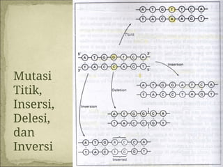 11_Mutasi_DNA_and_DNA_REPAIRrrrrrrrr.ppt