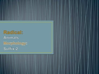 11 Radical:nature related-4_animals_morphology_suffix-2