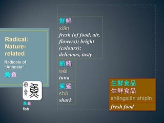 Radicals of
Animals
~
r
xin
fresh (of food, air,
flowers); bright
(colours);
delicious, tasty
~
fish
n
wi
tuna

sh
shark
rʳƷ
ʳƷ
shngxin shpn
fresh food
 