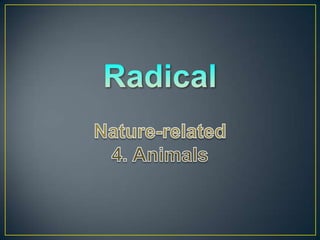 11 Radical:nature related-4_animals_morphology_suffix-2