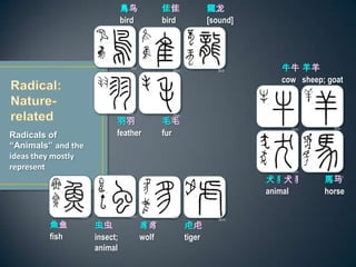 Radicals of
Animals and the
ideas they mostly
represent
B
bird

bird

[sound]

feather
ëë
fur
ţţ
cow

sheep; goat
ȮȮ
animal
R
horse
~
fish

insect;
animal

wolf

tiger
 