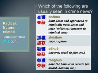 Radicals of Plants
ȮȮ
? Which of the following are
usually seen in crime news?
meaning?@

chhu
hunt down and apprehend (a
criminal); track down and
seize (evidence); uncover (a
criminal case)
ץ@
ץ
zhuhu
seize, capture
ƫ@
ƻ
phu
uncover, crack (a plot, etc.)
s@
ٻ
rnghu
have the honour to receive (an
award, honour, etc.)
 