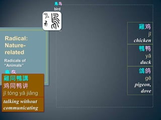 Radicals of
Animals
B
Ѽ
y
duck
B
bird

g
pigeon,
dove
u
j
chicken
uͬv
ͬѼ
j tng y jing
talking without
communicating
 