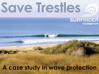 Save Trestles



A case study in wave protection
 