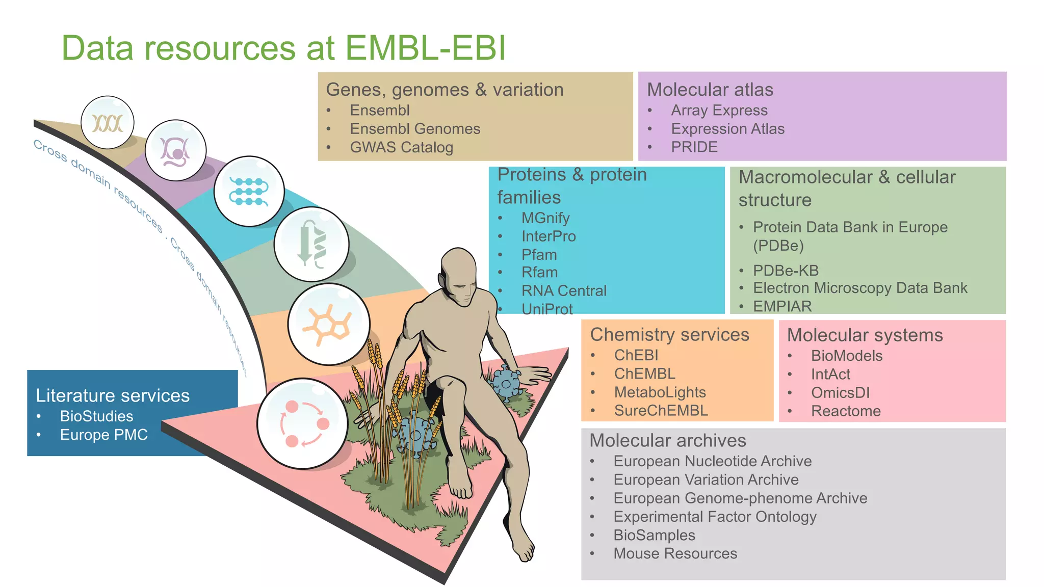 Literature services
• BioStudies
• Europe PMC
Chemistry services
• ChEBI
• ChEMBL
• MetaboLights
• SureChEMBL
Macromolecular & cellular
structure
• Protein Data Bank in Europe
(PDBe)
• PDBe-KB
• Electron Microscopy Data Bank
• EMPIAR
Molecular atlas
• Array Express
• Expression Atlas
• PRIDE
Proteins & protein
families
• MGnify
• InterPro
• Pfam
• Rfam
• RNA Central
• UniProt
Genes, genomes & variation
• Ensembl
• Ensembl Genomes
• GWAS Catalog
Molecular systems
• BioModels
• IntAct
• OmicsDI
• Reactome
Molecular archives
• European Nucleotide Archive
• European Variation Archive
• European Genome-phenome Archive
• Experimental Factor Ontology
• BioSamples
• Mouse Resources
Data resources at EMBL-EBI
Cross dom
ain
resources
.
C
ro
ss
d
o
m
a
in
re
s
o
u
rc
e
s
d
g
P
b
s
y
 