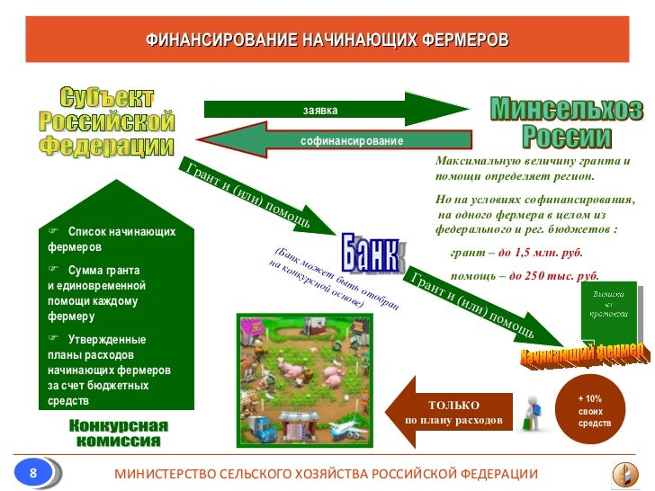 Условия гранта начинающий фермер