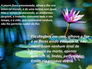 A jovem ficou emocionada, afinal a flor era
única no mundo, e de uma beleza sem igual.
Mas o tempo foi passando, os problemas
surgiam, o trabalho consumia todo o seu
tempo, e a vida, que continuava confusa,
não lhe permitia cuidar da flor.



                       Ela chegava em casa, olhava a flor
                       e as flores ainda estavam lá, não
                       mostravam nenhum sinal de
                       fraqueza ou morte, apenas
                       estavam lá, lindas, perfumadas.
                       Então ela passava direto.
 