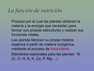 11_nutricion_plantas.ppt