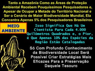 MEIOMEIO
AMBIENTEAMBIENTE
Tanto a Amazônia Como as Áreas de ProteçãoTanto a Amazônia Como as Áreas de Proteção
Ambiental Recebem Pouquíssimos Pesquisadores e,Ambiental Recebem Pouquíssimos Pesquisadores e,
Apesar de Ocupar a Metade do Território Nacional eApesar de Ocupar a Metade do Território Nacional e
Ser o Cenário de Maior Biodiversidade Mundial, ElaSer o Cenário de Maior Biodiversidade Mundial, Ela
Concentra Apenas 5% dos Pesquisadores BrasileirosConcentra Apenas 5% dos Pesquisadores Brasileiros
Isso Significa Que Há UmIsso Significa Que Há Um
Cientista Para Cada 4.000Cientista Para Cada 4.000
Quilômetros Quadrados e, o Pior,Quilômetros Quadrados e, o Pior,
é Que Apenas 10% das Espécies daé Que Apenas 10% das Espécies da
Região Estão CatalogadasRegião Estão Catalogadas
Só Com Profundo ConhecimentoSó Com Profundo Conhecimento
da Biodiversidade Local Seráda Biodiversidade Local Será
Possível Criar Estratégias MaisPossível Criar Estratégias Mais
Eficazes Para a PreservaçãoEficazes Para a Preservação
Daquele TesouroDaquele Tesouro
 