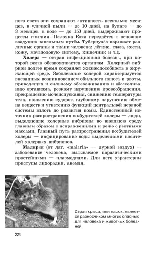 224
ного света они сохраняют активность несколько меся-
цев, в уличной пыли — до 10 дней, на бумаге — до
3 месяцев, в воде — до 150 дней, выдерживают про-
цессы гниения. Палочка Коха передаётся в основном
воздушно-капельным путём. Туберкулёз поражает раз-
личные органы и ткани человека: лёгкие, глаза, кости,
кожу, мочеполовую систему, кишечник и т.д.
Холера — острая инфекционная болезнь, при ко-
торой резко обезвоживается организм. Холерный виб-
рион долгое время сохраняет жизнеспособность в окру-
жающей среде. Заболевание холерой характеризуется
внезапным возникновением обильного поноса и рвоты,
приводящих к сильному обезвоживанию и обессолива-
нию организма, резкому нарушению кровообращения,
прекращению мочеиспускания, снижению температуры
тела, появлению судорог, глубокому нарушению обме-
на веществ и угнетению функций центральной нервной
системы вплоть до развития комы. Единственный ис-
точник распространения возбудителей холеры — люди,
выделяющие холерные вибрионы во внешнюю среду
главным образом с испражнениями и реже с рвотными
массами. Главный путь распространения возбудителей
холеры — инфицирование воды выделениями носите-
лей холерных вибрионов.
Малярия (от лат. «malaria» — дурной воздух) —
заболевание человека, вызываемое паразитическими
простейшими — плазмодиями. Для него характерны
приступы лихорадки, анемия.
Серая крыса, или пасюк, являет-
ся разносчиком многих опасных
для человека и животных болез-
ней
 