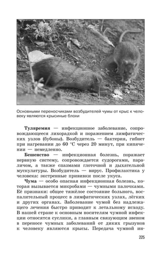 225
Туляремия — инфекционное заболевание, сопро-
вождающееся лихорадкой и поражением лимфатичес-
ких узлов (бубоны). Возбудитель — бактерия, гибнет
при нагревании до 60 °С через 20 минут, при кипяче-
нии — немедленно.
Бешенство — инфекционная болезнь, поражает
нервную систему, сопровождается судорогами, пара-
личом, а также спазмами глоточной и дыхательной
мускулатуры. Возбудитель — вирус. Профилактика у
человека: экстренные прививки после укуса.
Чума — особо опасная инфекционная болезнь, ко-
торая вызывается микробами — чумными палочками.
Её признаки: общее тяжёлое состояние больного, вос-
палительный процесс в лимфатических узлах, лёгких
и других органах. Заболевание чумой без надлежа-
щего лечения быстро приводит к летальному исходу.
В нашей стране к основным носителям чумной инфек-
ции относятся суслики, а главным связующим звеном
в переносе чумных заболеваний от диких грызунов
к человеку являются крысы. Передача чумной ин-
Основными переносчиками возбудителей чумы от крыс к чело-
веку являются крысиные блохи
 