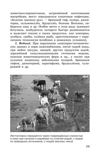 219
животных-переносчиков, загрязнённой патогенными
микробами, могут передаваться кишечные инфекции,
«болезни грязных рук» — брюшной тиф, холера, дизен-
терия, сальмонеллёз, бруцеллёз, болезнь Боткина, си-
бирская язва и др. Особое место в этом ряду занимает
ботулизм, возбудитель которого быстро размножается
и выделяет токсин в таких продуктах, как консервы,
колбаса, грибы, солёная рыба, приготовленные с нару-
шением технологии (особенно в домашних условиях).
2. Водный. При нарушении санитарно-гигиеничес-
ких правил и норм водоснабжения, питьё сырой воды,
при мойке посуды, овощей, других продуктов водой,
заражённой канализационными сточными водами,
навозом животноводческих ферм и пр., а также при
купании возможны заболевания холерой, брюшным
тифом, дизентерией, паратифами, бруцеллёзом, туля-
ремией и др.
Лептоспироз передаётся через повреждённые слизистые
и кожу при купании в водоёмах со стоячей водой, с водой
из природных источников, с пищей (молоко, мясо)
 