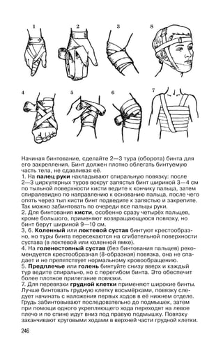 246
Начиная бинтование, сделайте 2—3 тура (оборота) бинта для
его закрепления. Бинт должен плотно облегать бинтуемую
часть тела, не сдавливая её.
1. На палец руки накладывают спиральную повязку: после
2—3 циркулярных туров вокруг запястья бинт шириной 3—4 см
по тыльной поверхности кисти ведите к кончику пальца, затем
спиралевидно по направлению к основанию пальца, после чего
опять через тыл кисти бинт подведите к запястью и закрепите.
Так можно забинтовать по очереди все пальцы руки.
2. Для бинтования кисти, особенно сразу четырёх пальцев,
кроме большого, применяют возвращающуюся повязку, но
бинт берут шириной 9—10 см.
3, 6. Коленный или локтевой сустав бинтуют крестообраз-
но, но туры бинта пересекаются на сгибательной поверхности
сустава (в локтевой или коленной ямке).
4. На голеностопный сустав (без бинтования пальцев) реко-
мендуется крестообразная (8-образная) повязка, она не спа-
дает и не препятствует нормальному кровообращению.
5. Предплечье или голень бинтуйте снизу вверх и каждый
тур ведите спирально, но с перегибом бинта. Это обеспечит
более плотное прилегание повязки.
7. Для перевязки грудной клетки применяют широкие бинты.
Лучше бинтовать грудную клетку восьмёрками, повязку сле-
дует начинать с наложения первых ходов в её нижнем отделе.
Грудь забинтовывают последовательно до подмышек, затем
при помощи одного укрепляющего хода переходят на левое
плечо и по спине идут вниз под правую подмышку. Повязку
заканчивают круговыми ходами в верхней части грудной клетки.
1 2 3 8
4 5 6 7
 