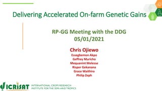 RP-GG Meeting with the DDG
05/01/2021
Chris Ojiewo
Essegbemon Akpo
Geffrey Muricho
Mequanint Melesse
Risper Gekanana
Grace Waithira
Philip Zeph
Delivering Accelerated On-farm Genetic Gains
 