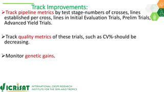 Research Program Genetic Gains (RPGG) Review Meeting 2021: Delivering Accelerated On-farm Genetic Gains By Chris Ojiewo team