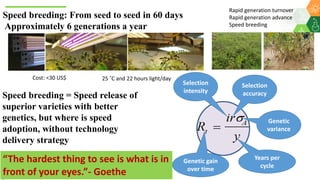 Research Program Genetic Gains (RPGG) Review Meeting 2021: Delivering Accelerated On-farm Genetic Gains By Chris Ojiewo team