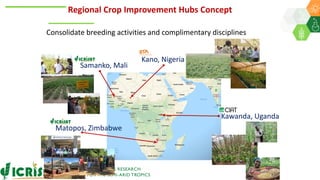 Research Program Genetic Gains (RPGG) Review Meeting 2021: Delivering Accelerated On-farm Genetic Gains By Chris Ojiewo team