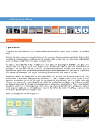 O mistério do Queijo Minas
Intro 10070402 080503 0901
Passo 6
06
O que acontece
O queijo é bem apreciado no Brasil, especialmente pelos mineiros. Mas o que é o queijo? De quê ele é
feito?
Queijo é o produto fresco ou maturado obtido por drenagem do líquido depois da coagulação do leite. Ele é
composto principalmente por proteínas, dentre as quais estão as caseínas, mas gorduras e carboidratos,
como a lactose, também fazem parte de sua composição.
As caseínas são proteínas do tipo fosfoproteína. Elas possuem duas regiões distintas, uma polar, que
interage bem com a água e outra maior e apolar, que é hidrofóbica e interage bem com outras moléculas
de caseína. Por isso, cerca de 80 a 90% das caseínas estão presentes no leite como micelas, que são
aglomerados organizados de caseínas com formato aproximadamente esférico. As caseínas se juntam e
suas partes que interagem com a água (hidrofílica) ficam voltadas para fora das micelas.
As caseínas podem ser precipitadas, ou seja, coaguladas pela acidez e pela atividade de enzimas, como
a quimiosina e a pepsina. Essas enzimas, presentes no coalho biológico que a dona Cenair utilizou,
quebram as caseínas na porção terminal de sua cadeia de aminoácidos, que é a região polar, que
interage com a água. Sem a porção polar, as micelas de caseína ficam instáveis e se desfazem, pois há
um desbalanceamento das forças intermoleculares que estabilizam sua estrutura. Assim, as moléculas
de caseína se tornam somente apolares e começam a se aglomerar para formar o coágulo. As ligações
entre as partes apolares são reforçadas por ligações de fosfato de cálcio ( Ca9
(PO4
)6
), gerados pela
precipitação de íons cálcio dispersos no soro.
Baixe a ilustração em alta resolução aqui.
Caseína coagulada.
Confira o vídeo que explica passo a passo a produção
do queijo e a ciência por trás do processo.
várias experiências, um só lugar
 