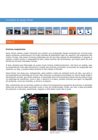 O mistério do Queijo Minas
Intro 10070402 0503 090601
Passo 8
08
Enzimas coagulantes
Dona Cenair utilizou coalho industrial que contém uma preparação líquida composta por enzimas para
digerir proteínas, produzida por um fungo chamado de Aspergillus niger var. awamori. No coagulante não
existe o fungo, mas possui enzimas produzidas por ele que são capazes de desestabilizar e coagular a
caseína e assim produz a coagulação do leite. Essas enzimas são quimiosinas, que fazem parte de uma
família de enzimas chamadas reninas.
O leite utilizado para fabricação do queijo minas frescal, preferencialmente, não deve ser gelado, pois
as temperaturas mais altas favorecem a reação das enzimas envolvidas no processo de coagulação das
caseínas, ou seja, a quebra dessa proteína é mais rápida e eficiente.
Dona Cenair nos disse que, antigamente, para coalhar o leite era utilizado bucho de tatu, que seria o
correspondente ao estômago do animal. Eles retiravam os líquidos encontrados no interior deste órgão e
adicionavam ao leite, que então coalhava. A explicação para o funcionamento desse tipo de prática é que
no estômago de mamíferos, como o tatu, o bezerro e a cabra, existem enzimas que agem na digestão
de proteínas, como por exemplo, a renina e a pepsina.
Mas, juntamente com as enzimas, podem vir vários microorganismos causadores de doenças. A utilização
desse tipo de técnica pode aumentar muito o risco de contaminação. Então, por isso, e pela prioridade
de preservar a natureza, atualmente, coagular o leite deste modo não é usual.
Coagulante contendo enzimas do fungo Aspergillus
niger var. awamori.
várias experiências, um só lugar
 