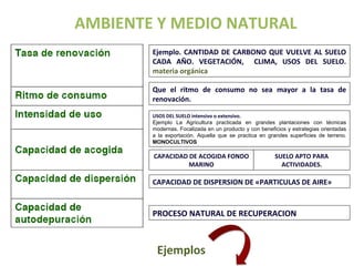 AMBIENTE Y MEDIO NATURAL 
Ejemplo. CANTIDAD DE CARBONO QUE VUELVE AL SUELO 
CADA AÑO. VEGETACIÓN, CLIMA, USOS DEL SUELO. 
materia orgánica 
Que el ritmo de consumo no sea mayor a la tasa de 
renovación. 
USOS DEL SUELO intensivo o extensivo. 
Ejemplo La Agricultura practicada en grandes plantaciones con técnicas 
modernas. Focalizada en un producto y con beneficios y estrategias orientadas 
a la exportación. Aquella que se practica en grandes superficies de terreno. 
MONOCULTIVOS 
CAPACIDAD DE ACOGIDA FONDO 
MARINO 
Ejemplos 
SUELO APTO PARA 
ACTIVIDADES. 
CAPACIDAD DE DISPERSION DE «PARTICULAS DE AIRE» 
PROCESO NATURAL DE RECUPERACION 
 