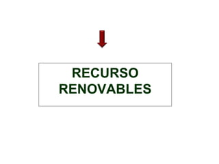 RECURSO 
RENOVABLES 
 