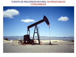 FUENTE DE RECURSOS NATURAL NO RENOVABLES 
CONSUMIBLES 
 