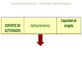 Desarrollo Sostenible, Ambiente y Medio Natural 
 