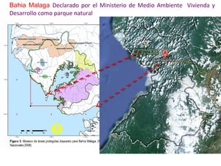 Bahia Malaga Declarado por el Ministerio de Medio Ambiente Vivienda y 
Desarrollo como parque natural 
 