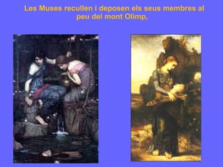 Les Muses recullen i deposen els seus membres al peu del mont Olimp,  