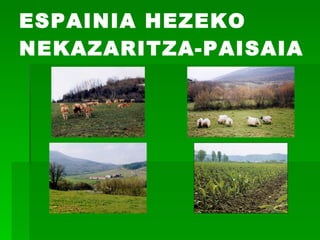 ESPAINIA HEZEKO NEKAZARITZA-PAISAIA 