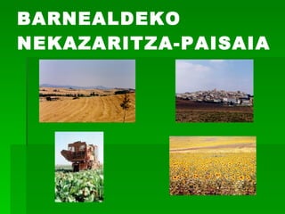 BARNEALDEKO NEKAZARITZA-PAISAIA 
