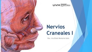 Nervios
Craneales I
Dra. Iris Ethel Rentería Solís

 