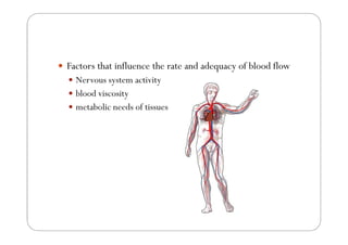 Factors that influence the rate and adequacy of blood flow
  Nervous system activity
  blood viscosity
  metabolic needs o...