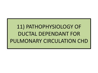 11) PATHOPHYSIOLOGY OF
DUCTAL DEPENDANT FOR
PULMONARY CIRCULATION CHD
 