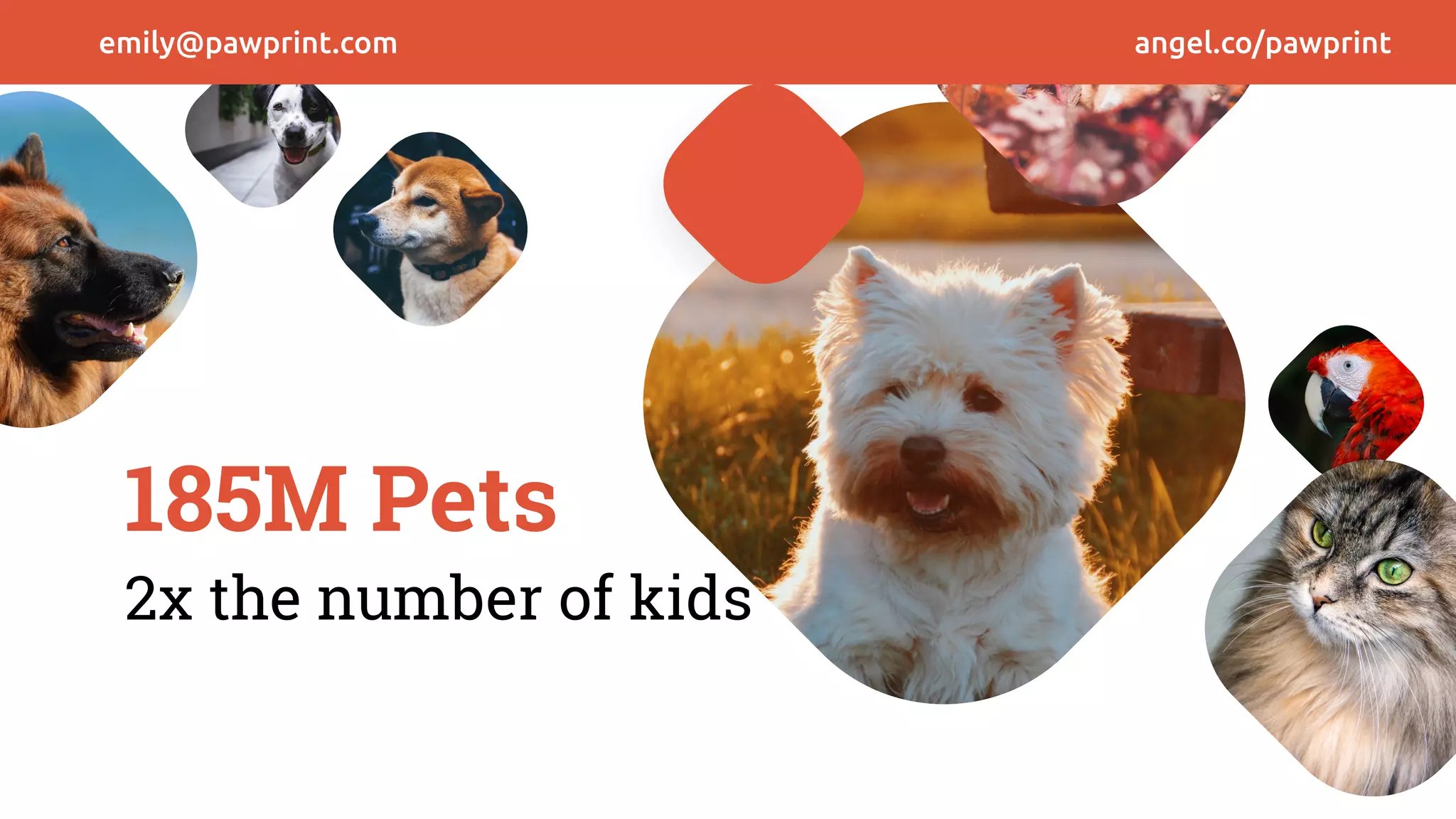 185M Pets
2x the number of kids
emily@pawprint.com angel.co/pawprint