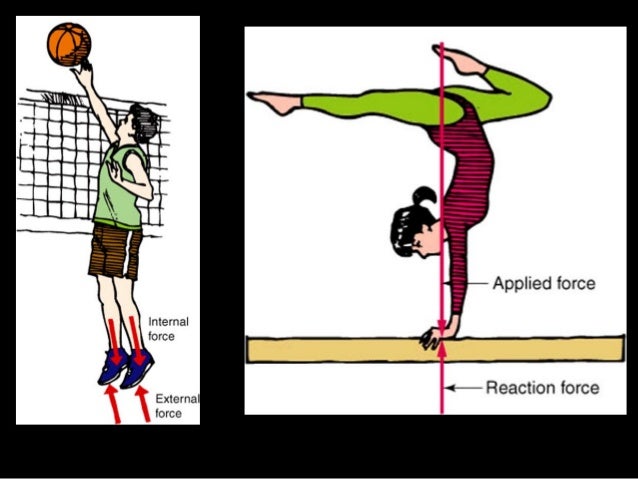 force absorb to how PPT Biomechanics 11 PDHPE 3 CQ3 Core