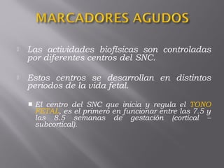  Las actividades biofísicas son controladas
por diferentes centros del SNC. 
 Estos centros se desarrollan en distintos
periodos de la vida fetal.
 El centro del SNC que inicia y regula el TONO
FETAL, es el primero en funcionar entre las 7.5 y
las 8.5 semanas de gestación (cortical –
subcortical).
 