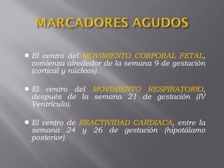  El centro del MOVIMIENTO CORPORAL FETAL,
comienza alrededor de la semana 9 de gestación
(cortical y núcleos).
 El centro del MOVIMIENTO RESPIRATORIO,
después de la semana 21 de gestación (IV
Ventrículo).
 El centro de REACTIVIDAD CARDIACA, entre la
semana 24 y 26 de gestación (hipotálamo
posterior).
 