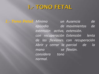 1.- Tono Fetal Mínimo un
episodio de
extensión activa,
con recuperación
de las flexiones.
Abrir y cerrar la
mano se
considera tono
normal.
Ausencia de
movimientos de
extensión.
Extensión lenta
con recuperación
parcial de la
flexión.
1.- TONO FETAL1.- TONO FETAL
 