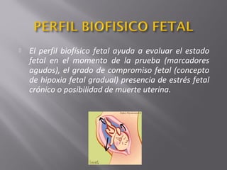  El perfil biofísico fetal ayuda a evaluar el estado
fetal en el momento de la prueba (marcadores
agudos), el grado de compromiso fetal (concepto
de hipoxia fetal gradual) presencia de estrés fetal
crónico o posibilidad de muerte uterina.
 