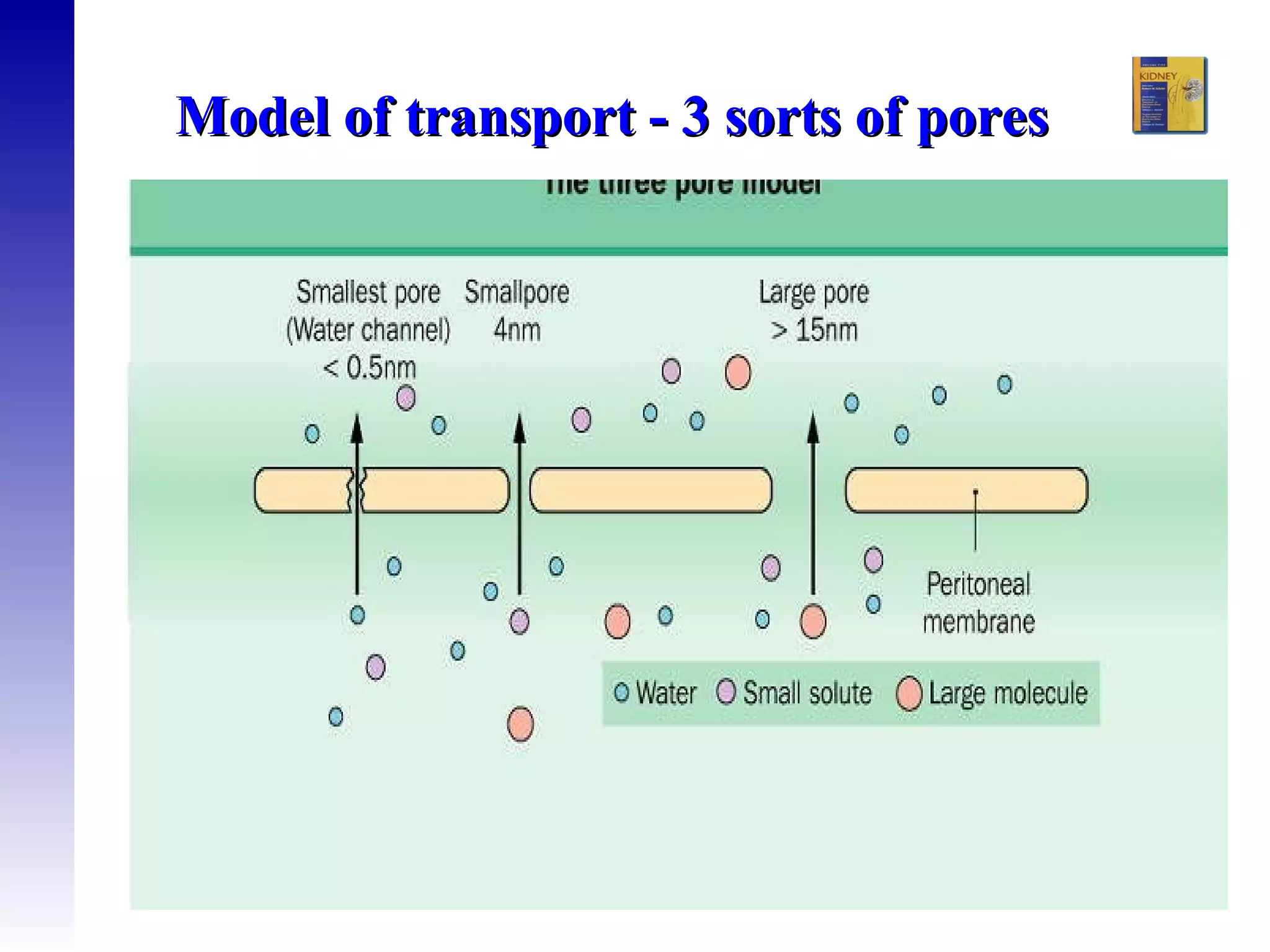 11 Peritoneal Dialysis | PPT